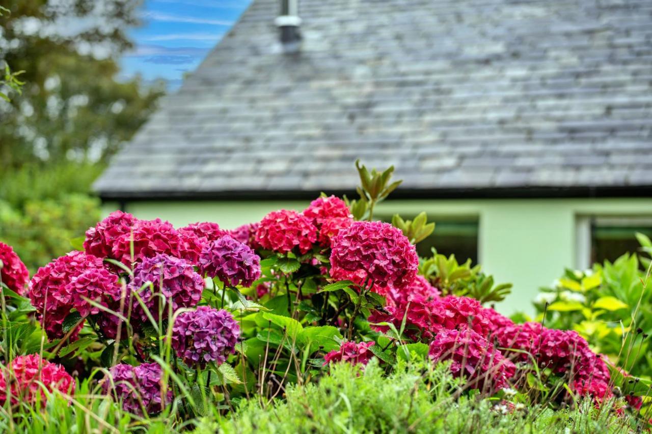 Finest Retreats - Skylarks Chalé Boscastle