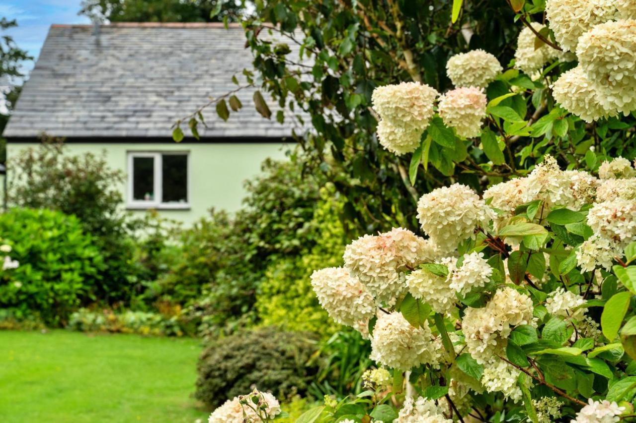 Finest Retreats - Skylarks Boscastle
